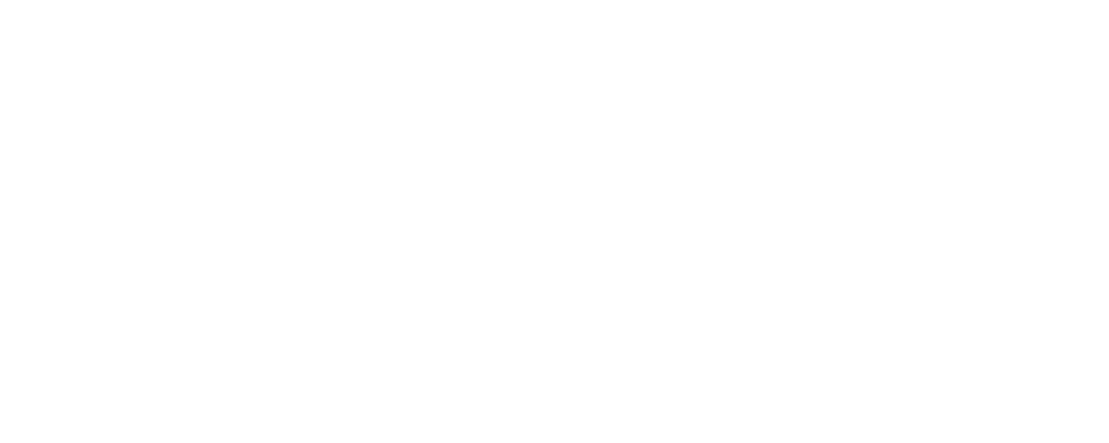 TOWNSHIP LOGO