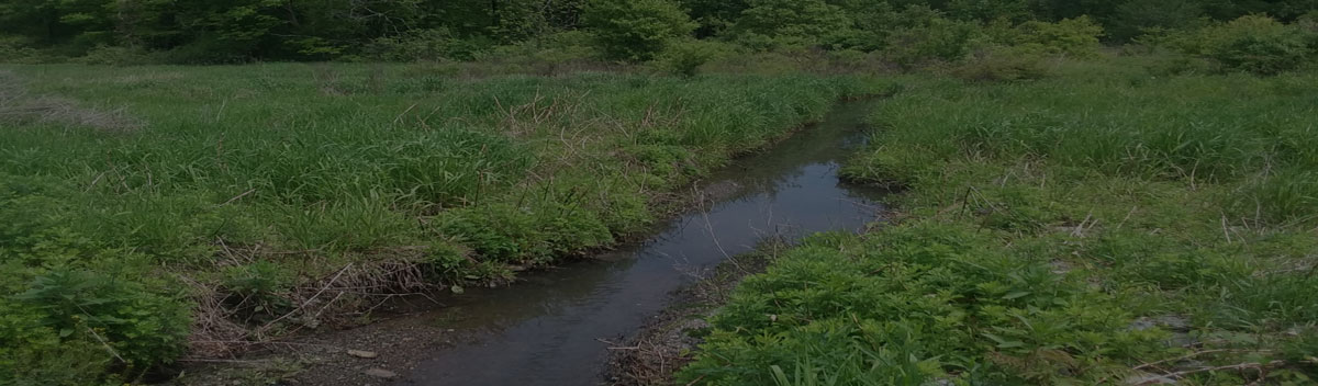 For Stormwater Related Concerns